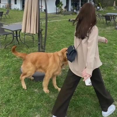 小英雄出动：拯救圣诞节